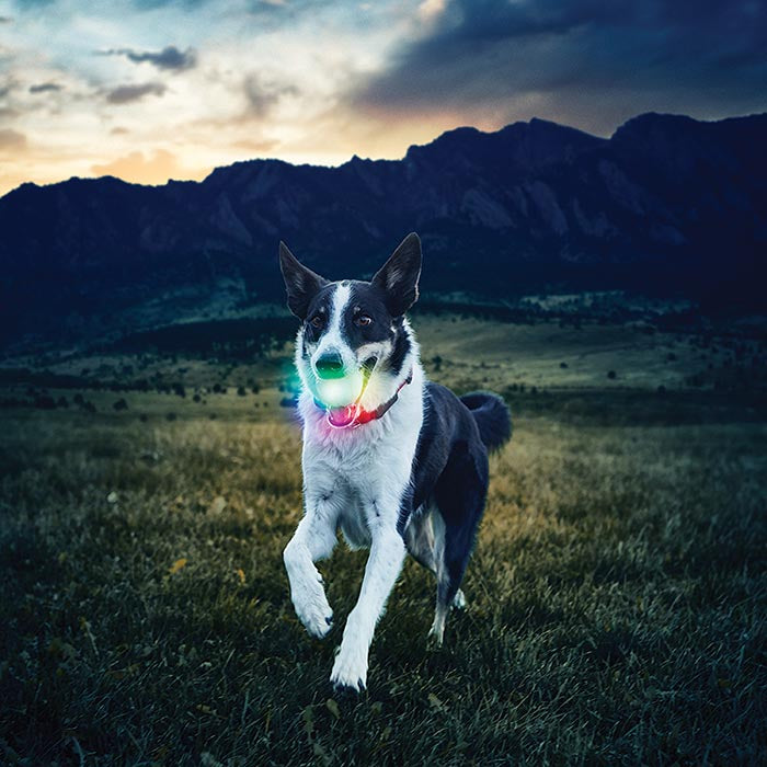 Nite Ize GlowStreak LED Ball for Pets DISC-O