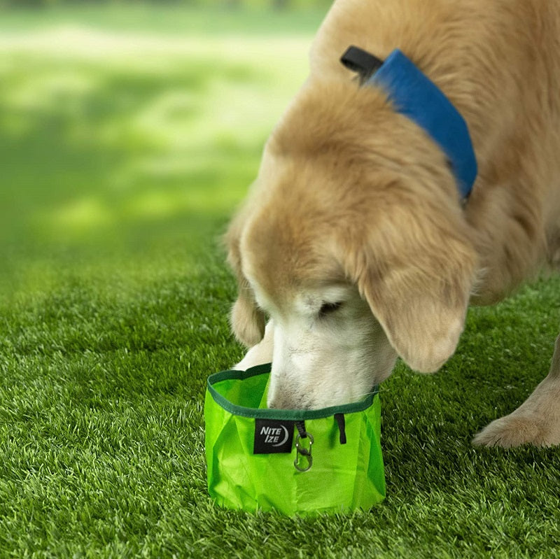 Nite Ize RadDog Collapsible Lime Bowl RWB-17-R8